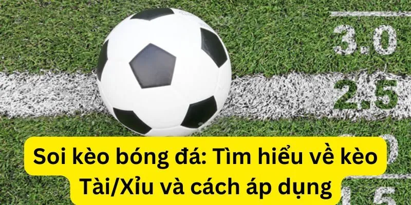 Soi kèo bóng đá: Tìm hiểu về kèo Tài/Xỉu và cách áp dụng